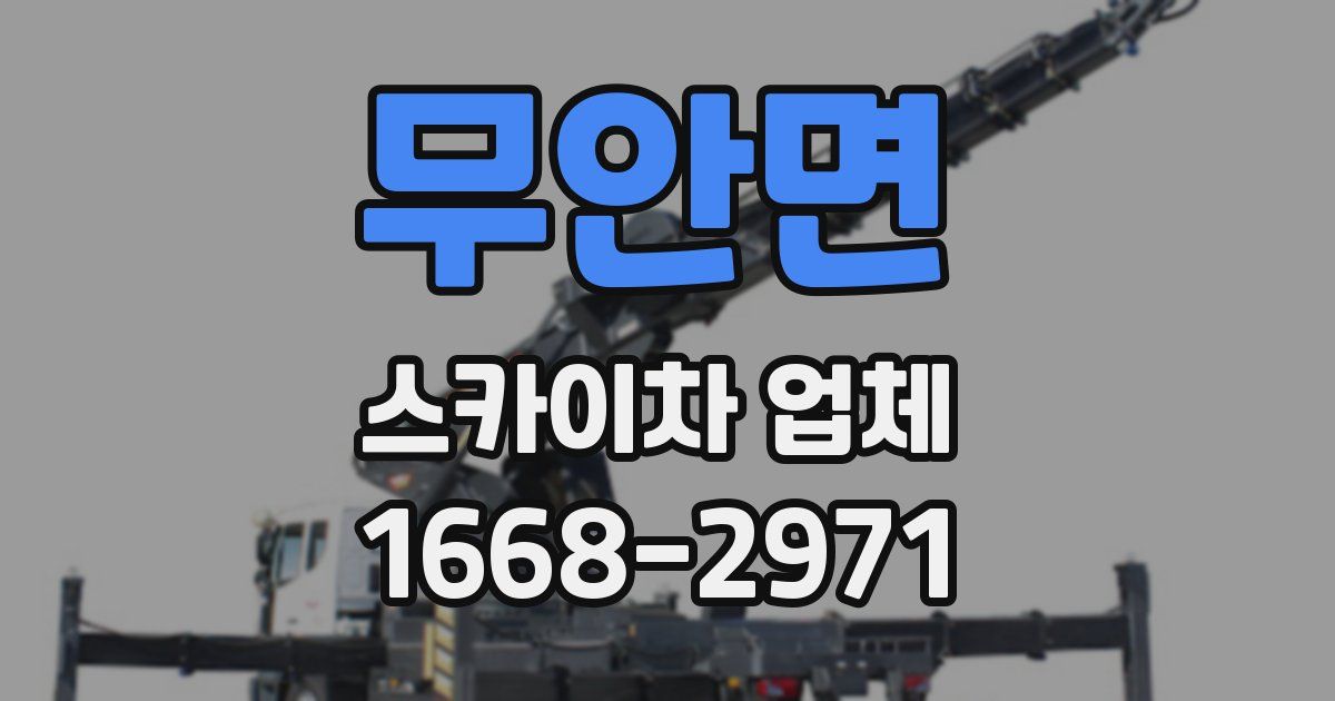 무안면 스카이차 업체