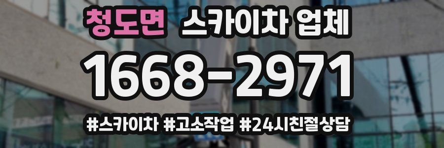 청도면 스카이차 업체