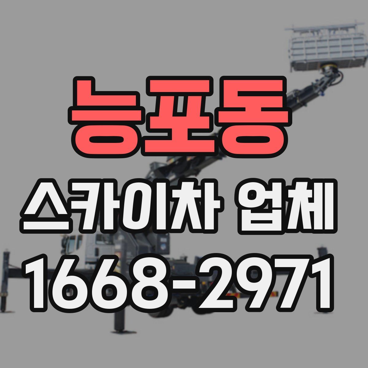 능포동 스카이차 업체