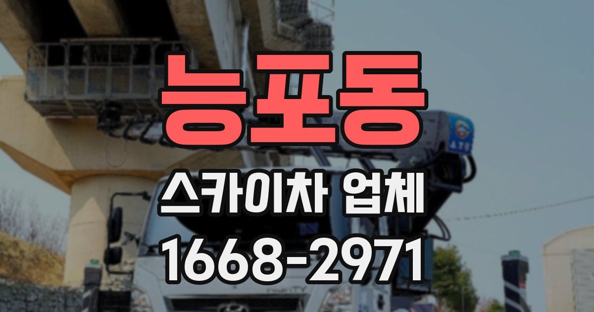능포동 스카이차 업체