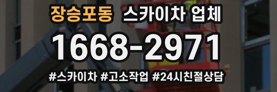 장승포동 스카이차 업체