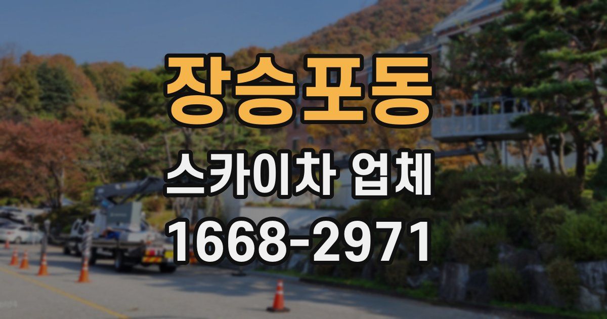 장승포동 스카이차 업체