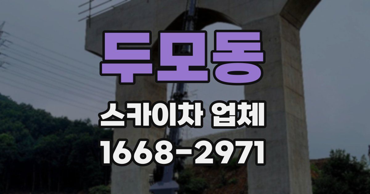 두모동 스카이차 업체