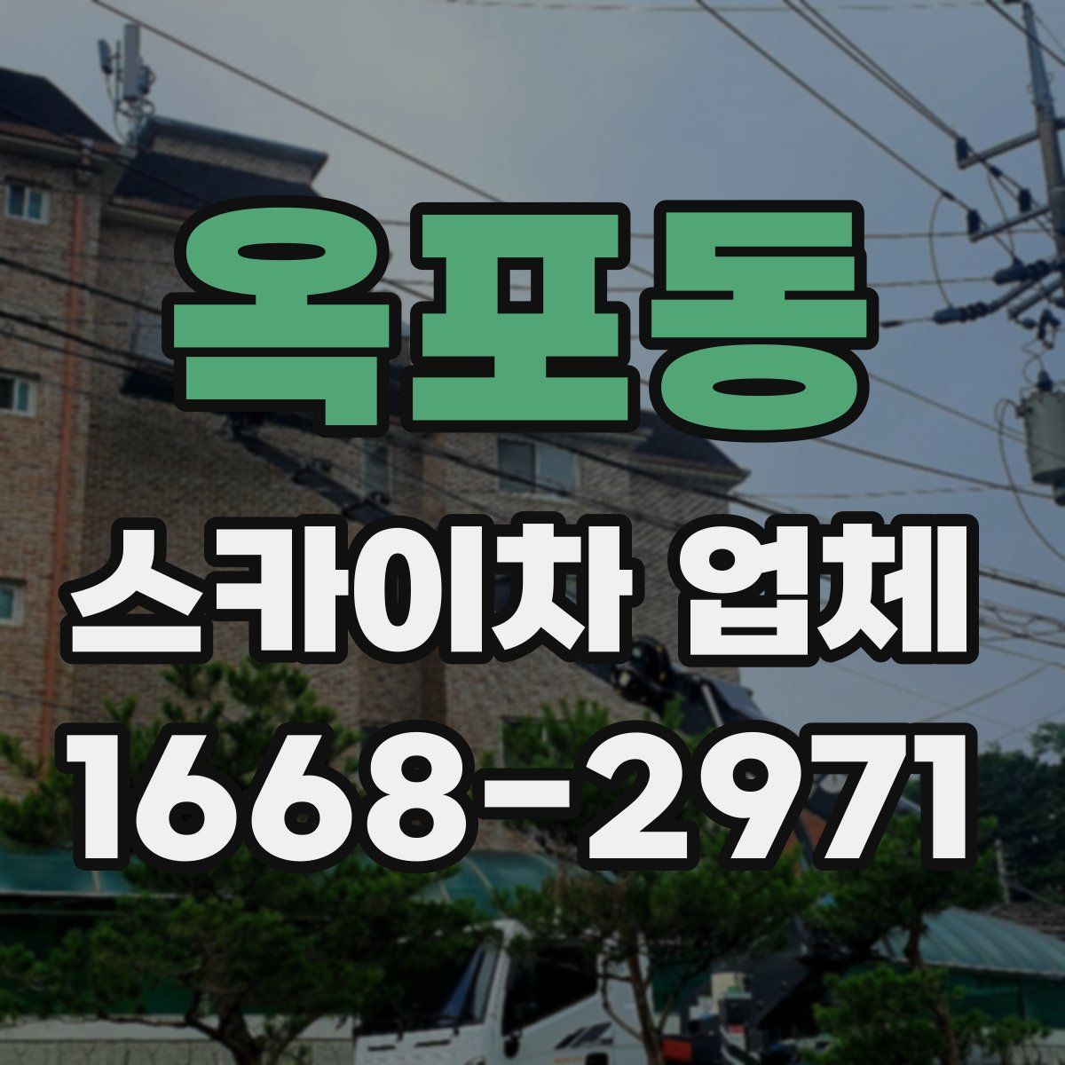 옥포동 스카이차 업체