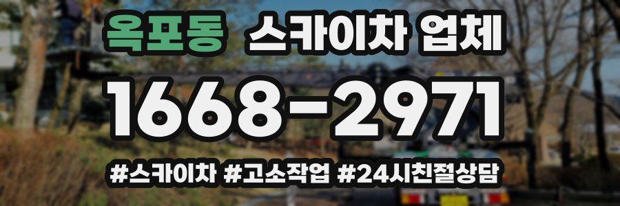 옥포동 스카이차 업체