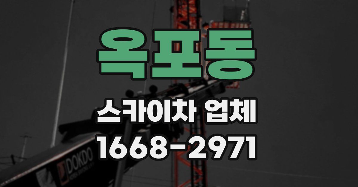 옥포동 스카이차 업체