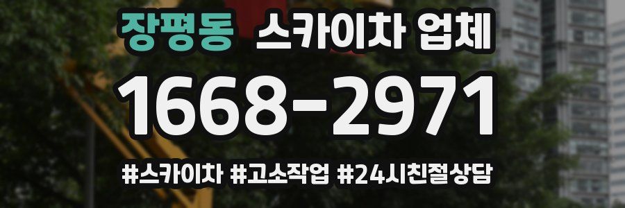 장평동 스카이차 업체