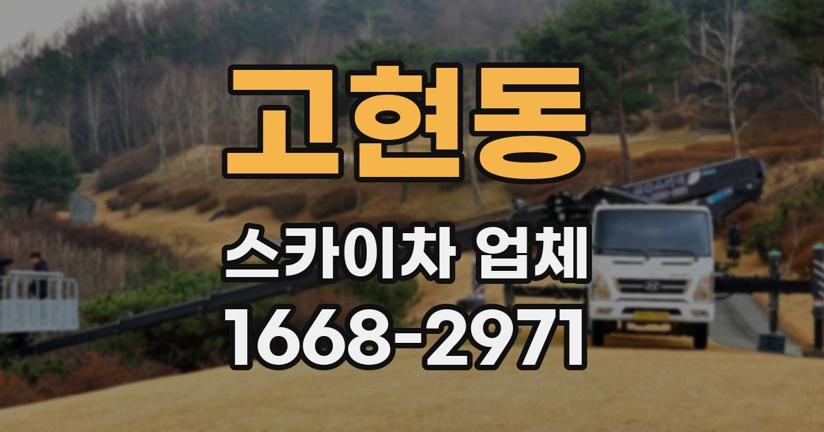 고현동 스카이차 업체