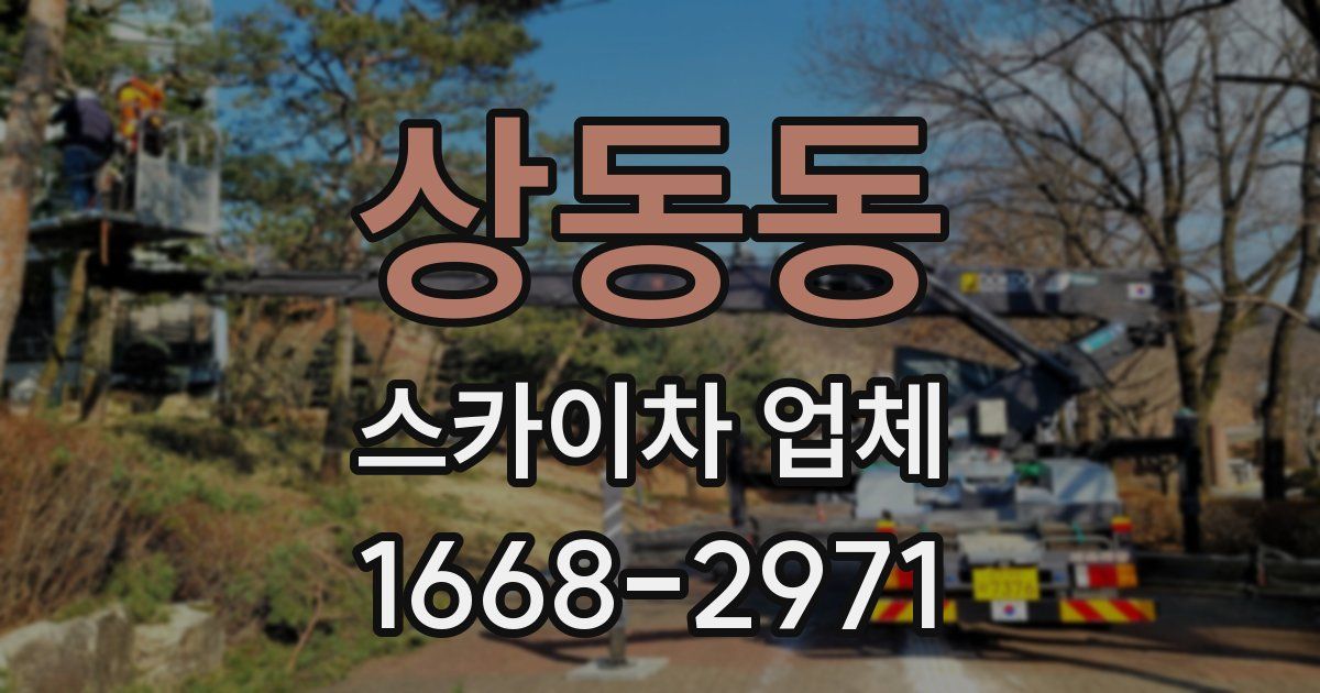 상동동 스카이차 업체