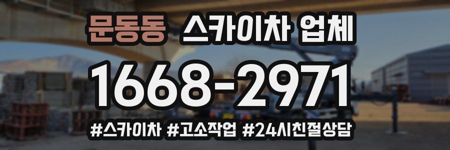 문동동 스카이차 업체