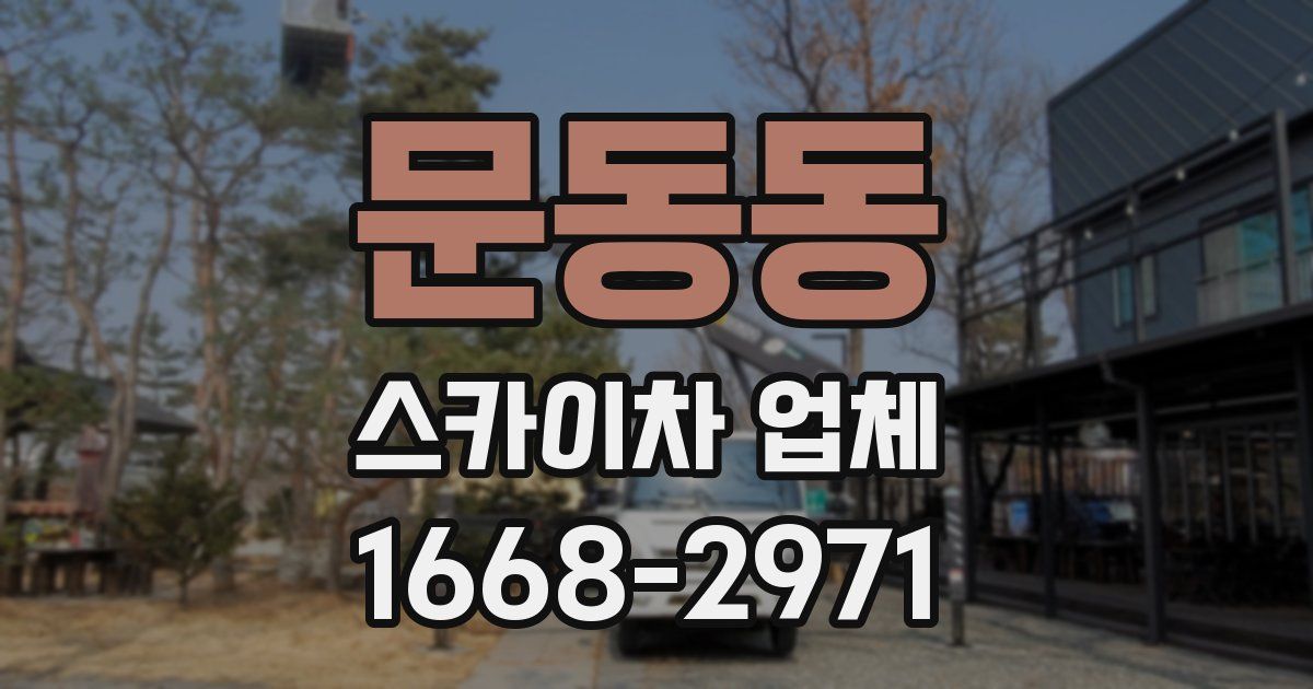 문동동 스카이차 업체