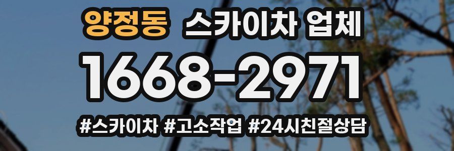 양정동 스카이차 업체