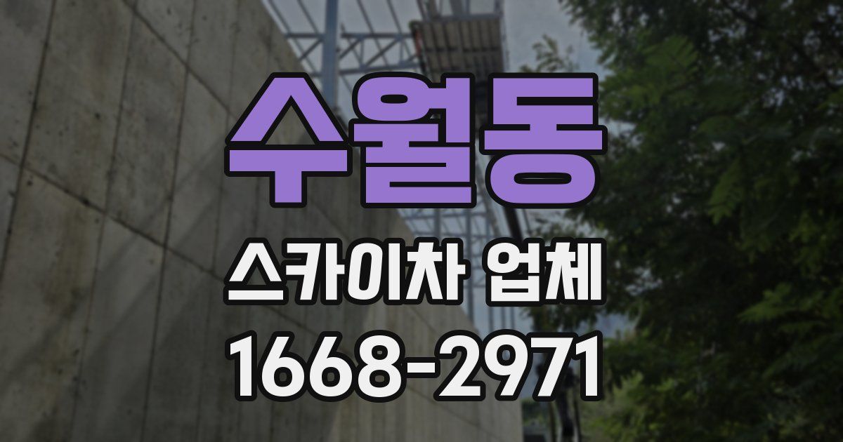 수월동 스카이차 업체