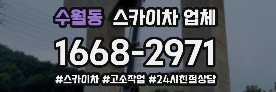 수월동 스카이차 업체