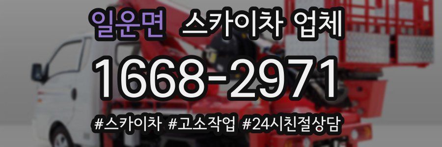일운면 스카이차 업체