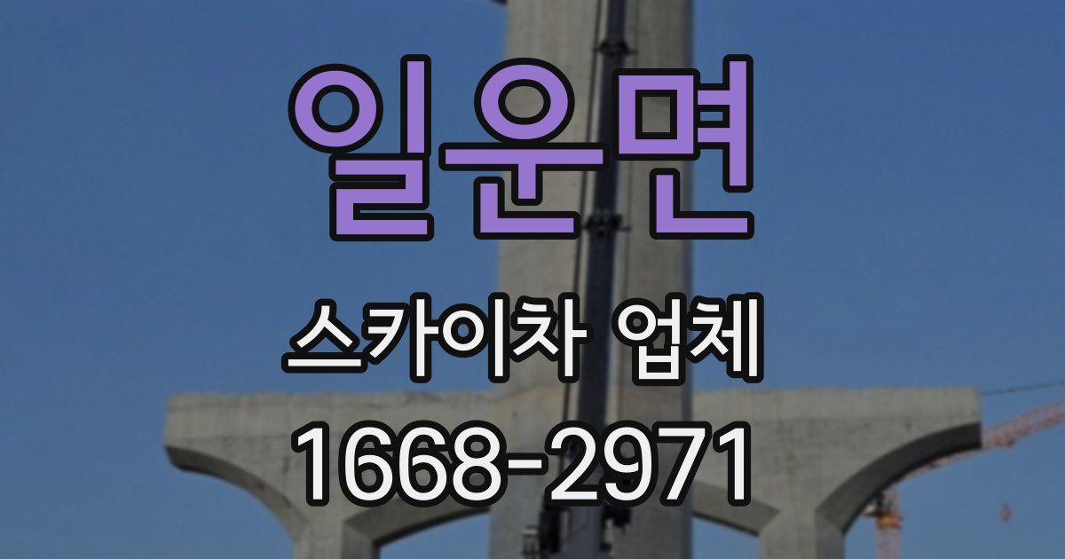 일운면 스카이차 업체