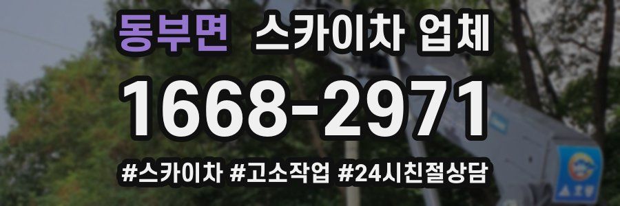 동부면 스카이차 업체