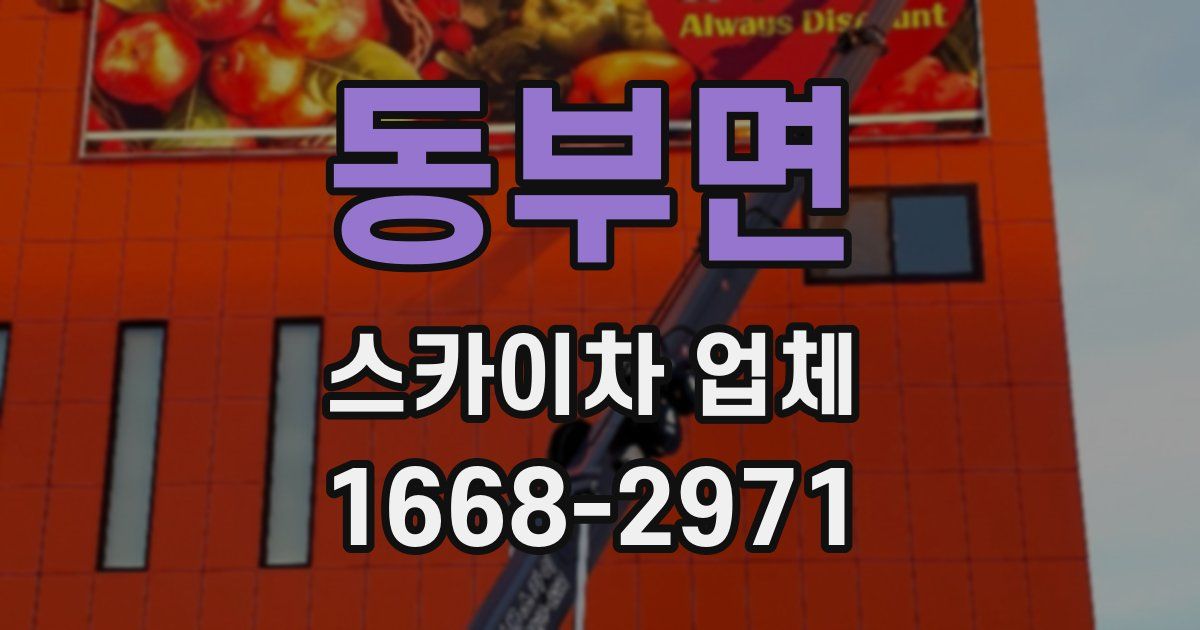 동부면 스카이차 업체