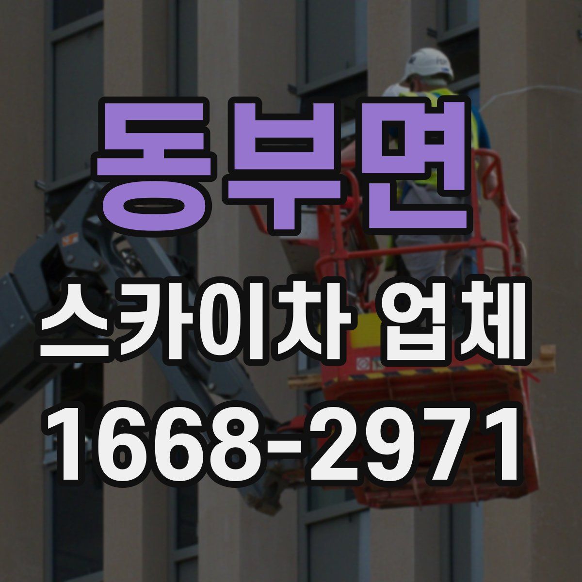 동부면 스카이차 업체