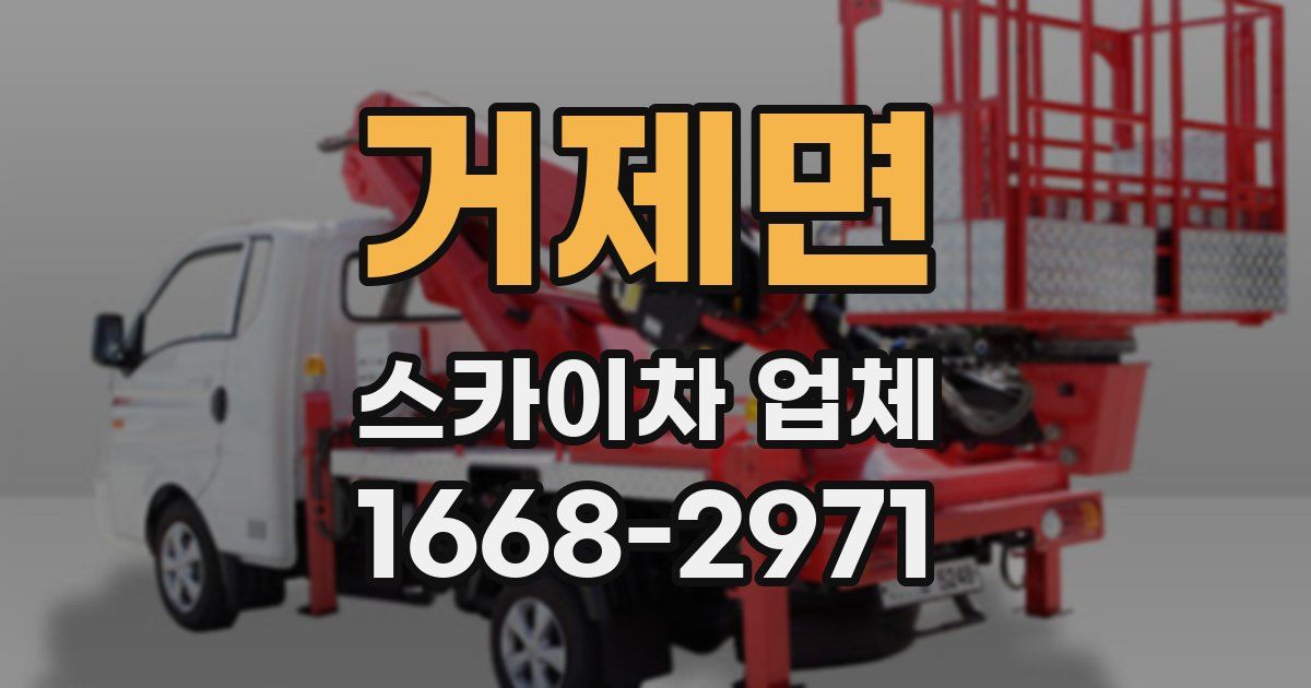 거제면 스카이차 업체