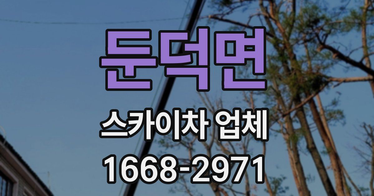 둔덕면 스카이차 업체