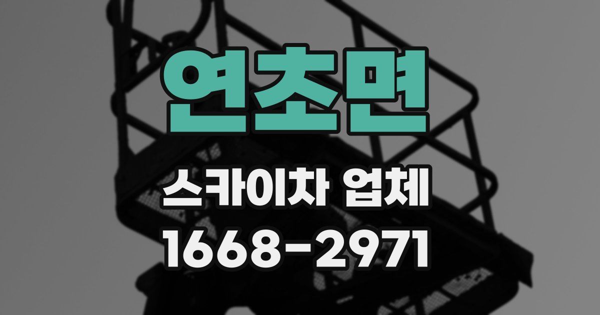 연초면 스카이차 업체