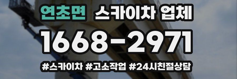 연초면 스카이차 업체