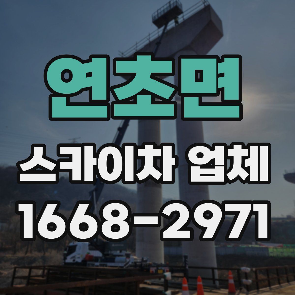 연초면 스카이차 업체