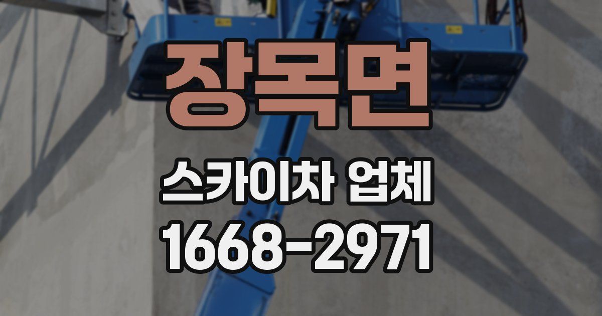 장목면 스카이차 업체