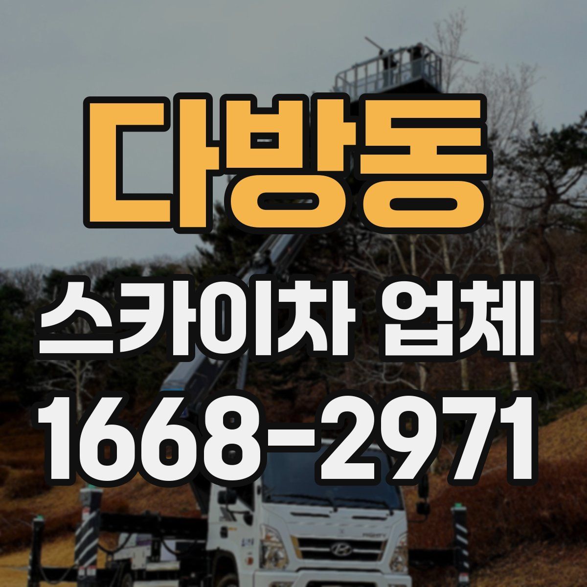 다방동 스카이차 업체