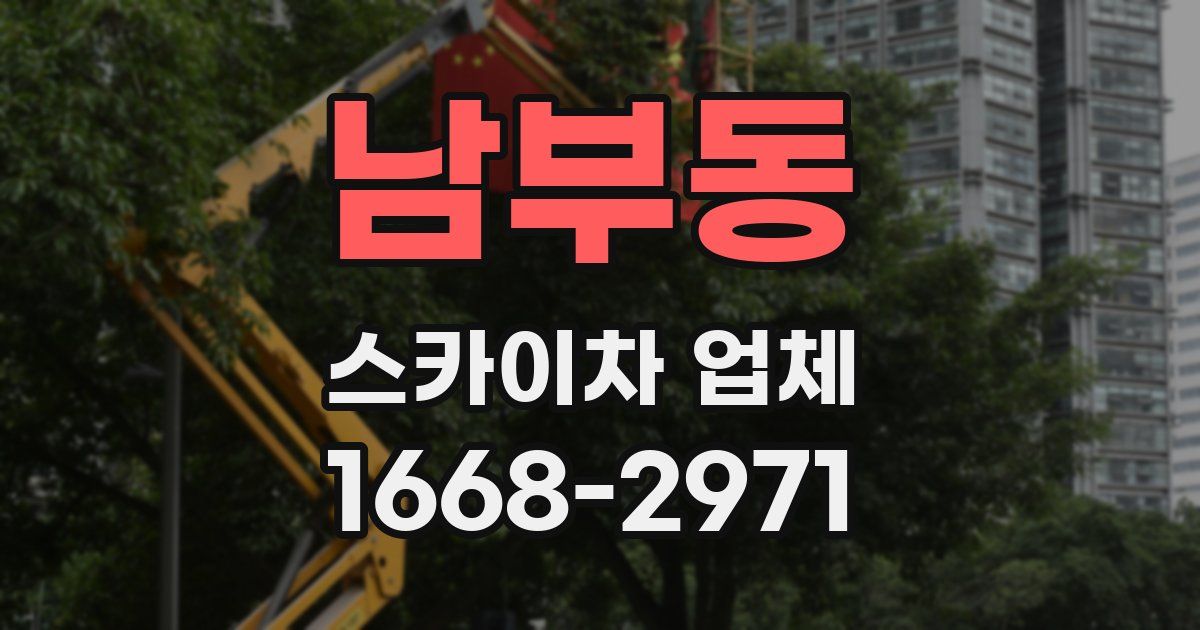 남부동 스카이차 업체