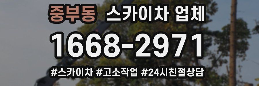 중부동 스카이차 업체