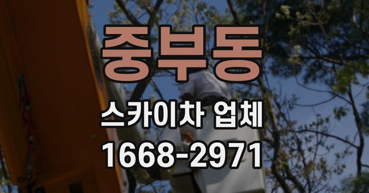 중부동 스카이차 업체