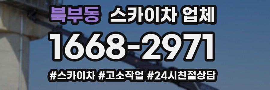 북부동 스카이차 업체