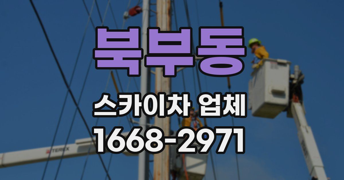 북부동 스카이차 업체