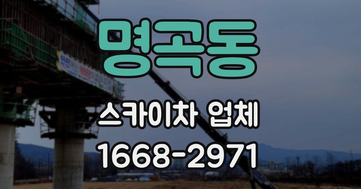 명곡동 스카이차 업체