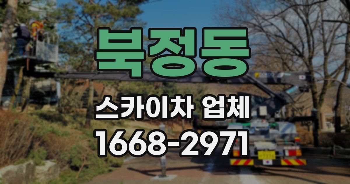 북정동 스카이차 업체