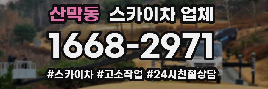 산막동 스카이차 업체