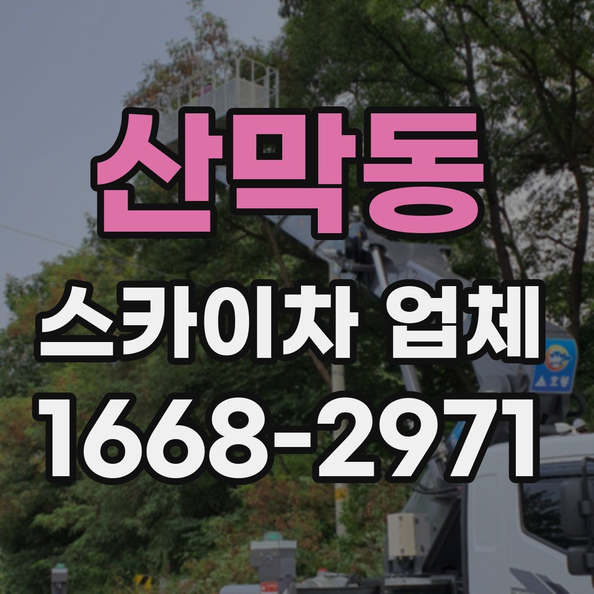 산막동 스카이차 업체