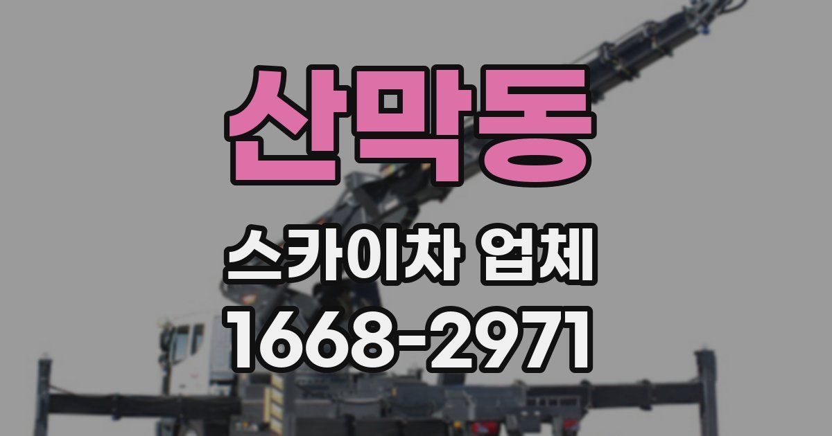 산막동 스카이차 업체