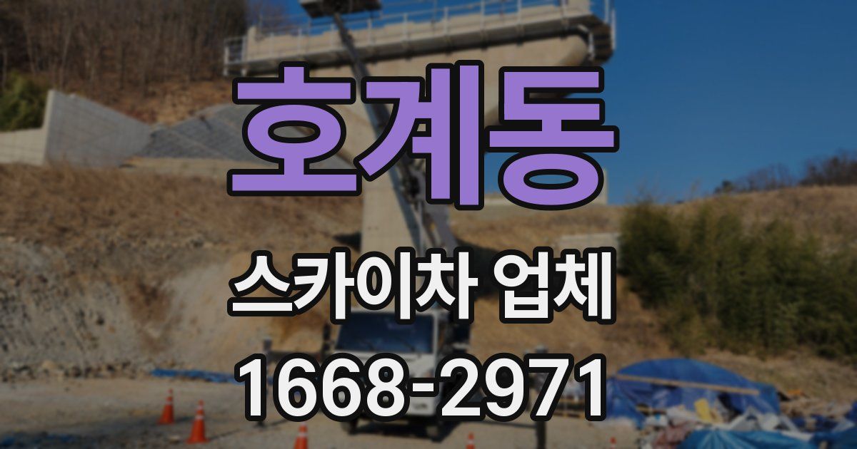 호계동 스카이차 업체