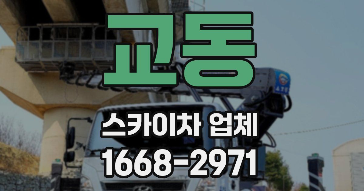교동 스카이차 업체