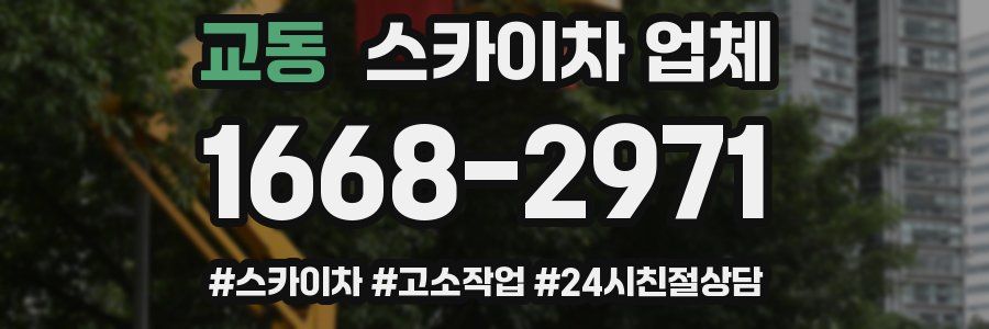 교동 스카이차 업체