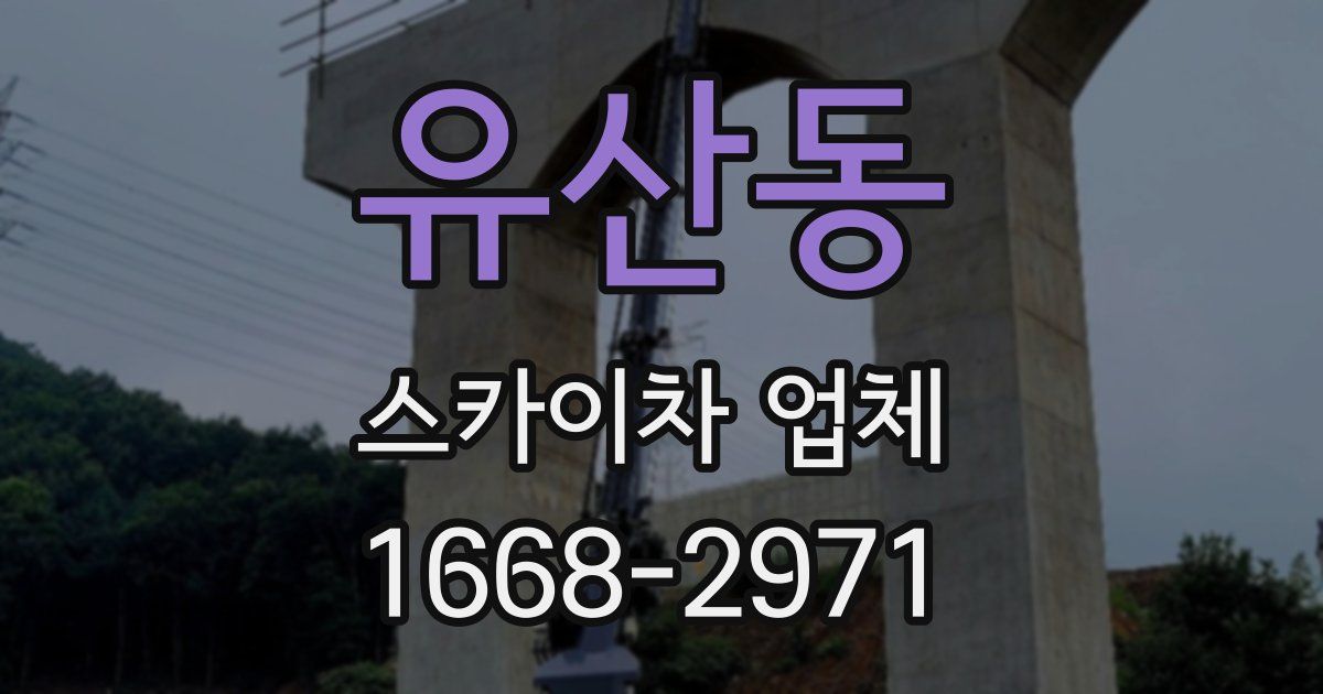 유산동 스카이차 업체