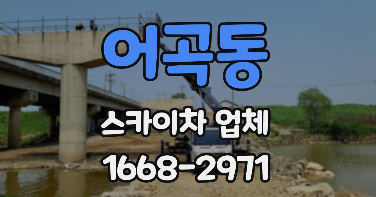 어곡동 스카이차 업체