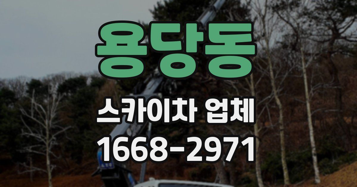 용당동 스카이차 업체