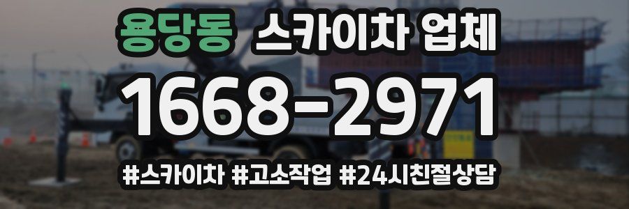 용당동 스카이차 업체
