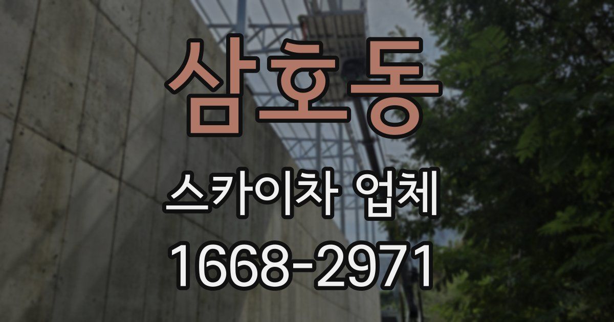 삼호동 스카이차 업체