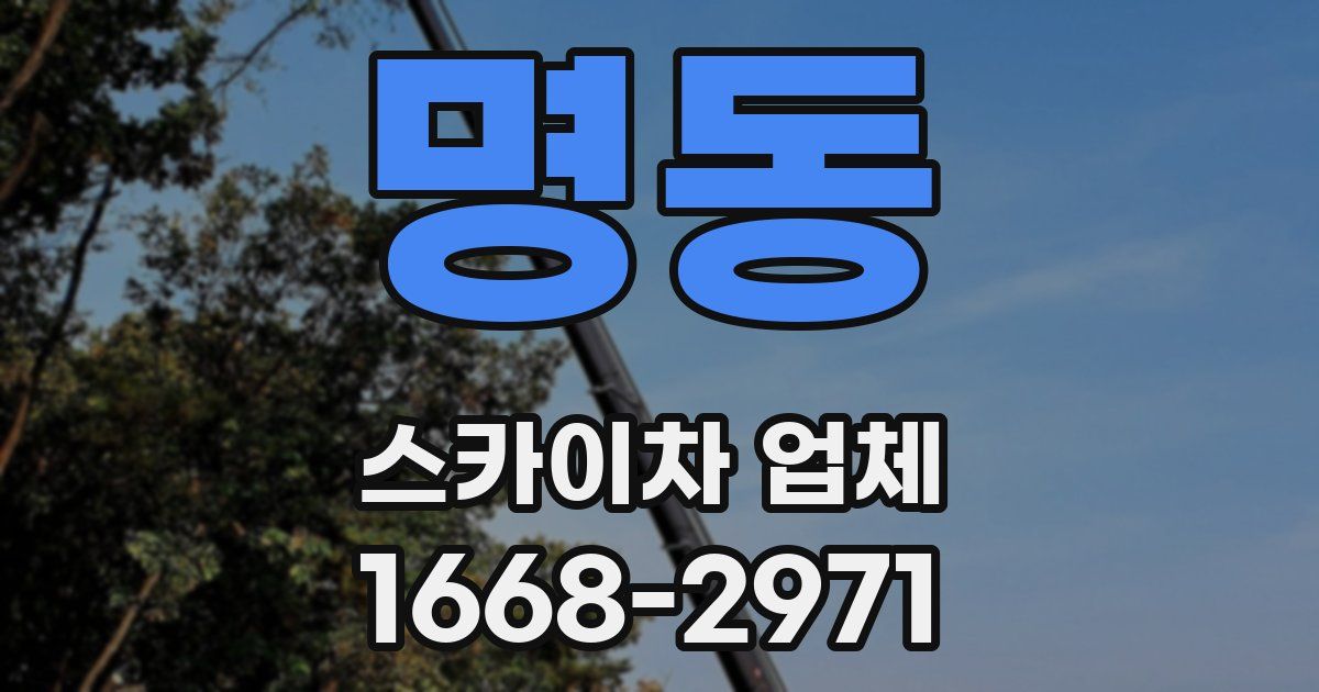 명동 스카이차 업체