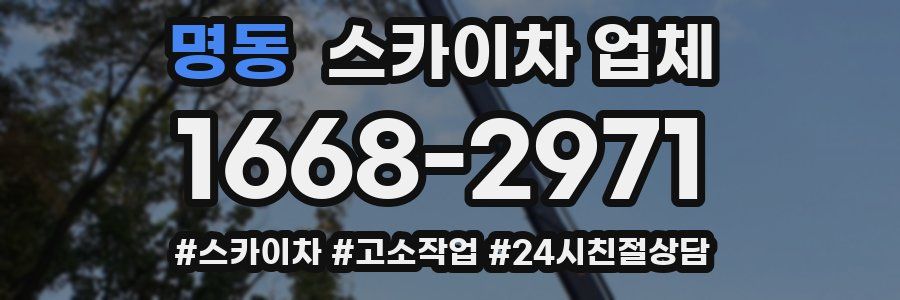 명동 스카이차 업체